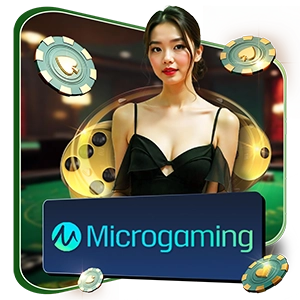 MICRO GAMING