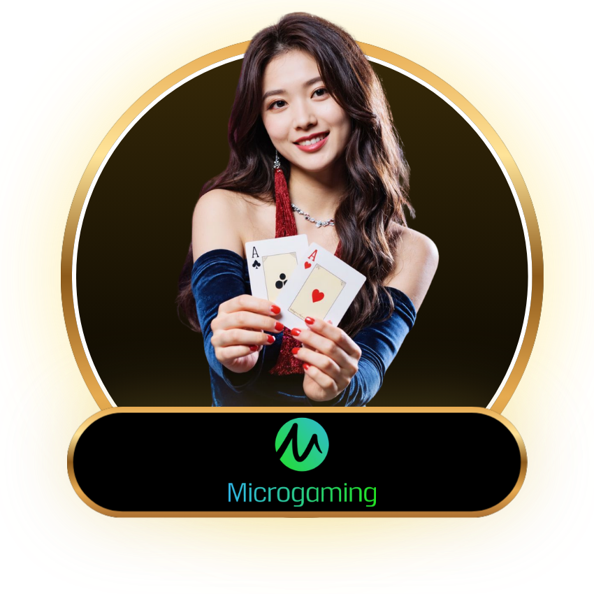 MICRO GAMING