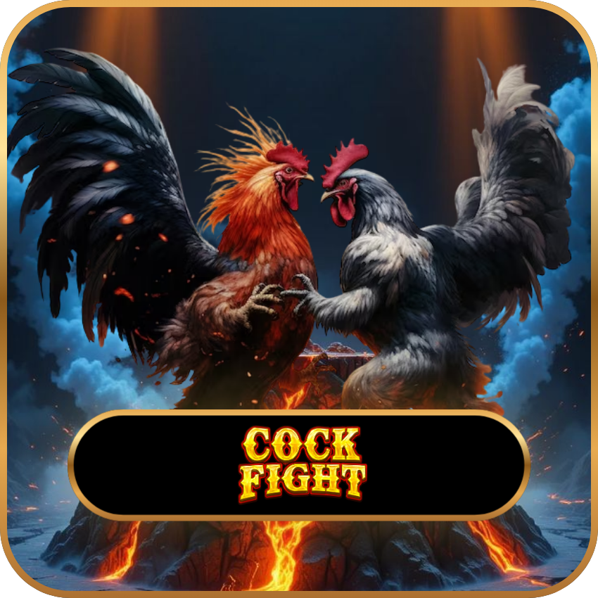 COCKFIGHT
